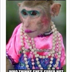 Meet your Posher, Betty